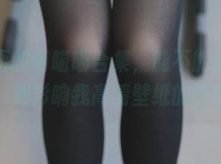 兔玩映画的萌喵喵合集，能不能请大家安静一点，别影响我高清壁纸的浏览体验。