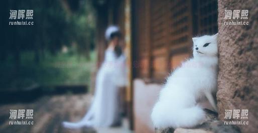 好H好女杀手 微密圈 - 好H好女杀手的泳池见闻:资源满点的放松时刻